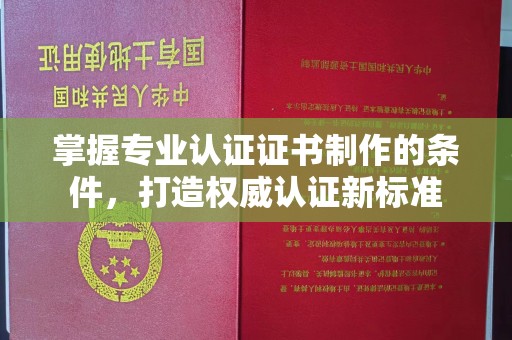 甘泉掌握专业认证证书制作的条件，打造权威认证新标准