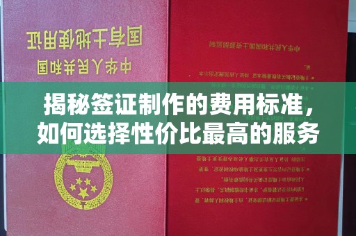 甘泉揭秘签证制作的费用标准，如何选择性价比最高的服务？