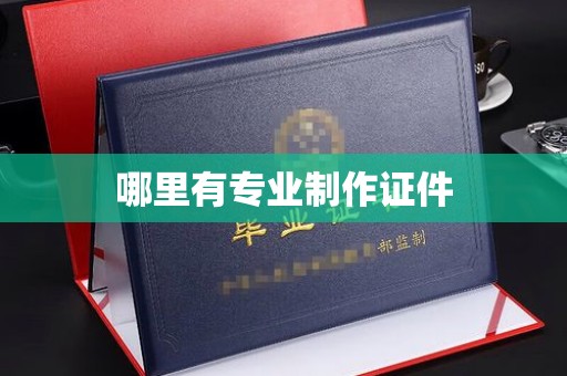 甘泉哪里有专业制作证件