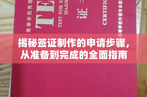 甘泉揭秘签证制作的申请步骤，从准备到完成的全面指南