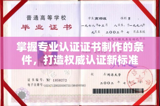 甘泉掌握专业认证证书制作的条件，打造权威认证新标准