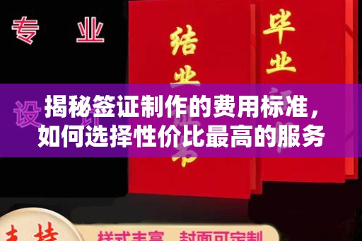 甘泉揭秘签证制作的费用标准，如何选择性价比最高的服务？