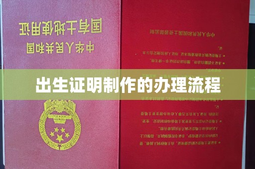 甘泉出生证明制作的办理流程