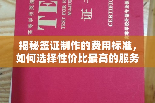 甘泉揭秘签证制作的费用标准，如何选择性价比最高的服务？