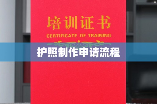 甘泉护照制作申请流程