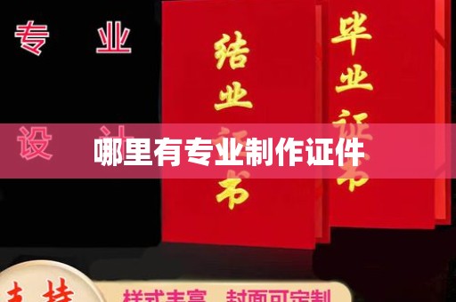 甘泉哪里有专业制作证件