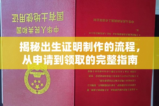 甘泉揭秘出生证明制作的流程，从申请到领取的完整指南