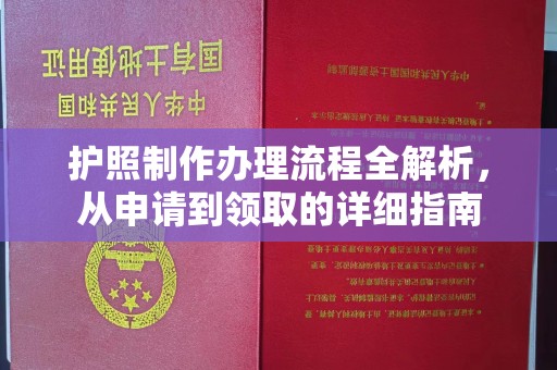 甘泉护照制作办理流程全解析，从申请到领取的详细指南