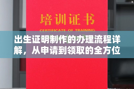 甘泉出生证明制作的办理流程详解，从申请到领取的全方位指南