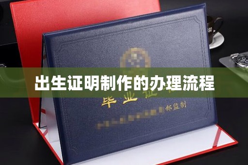 甘泉出生证明制作的办理流程